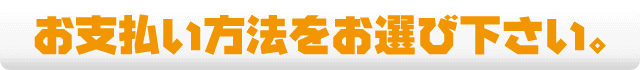 お支払い方法をお選び下さい。